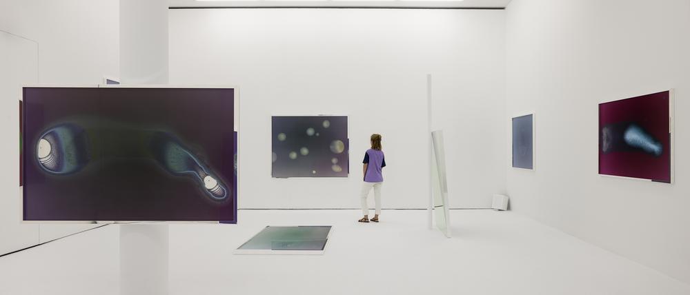 Sarah Ancelle Schönfelds Ausstellung „Labor Lab“ im Projektraum der Schering-Stiftung in Berlin. 