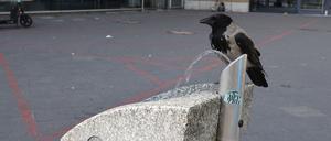 Trinkbrunnen Potsdam Hauptbahnhof, Hitzeschutz, kostenloses Trinkwasser