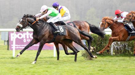 Auch Thore Hammer-Hansen (vorn) wird beim Renntag in Hoppegarten dabei sein.