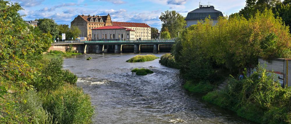 An der Oder droht in den kommenden Tagen eine Hochwasserwelle.