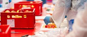15.09.2024, Berlin: Freiwillige Helfer schneiden beim Weltrekord-Versuch für den größten Obstsalat auf dem Großmarkt Fruchthof Berlin Äpfel klein. Zum 75. Jubiläum vom Großmarkt Fruchthof Berlin wollen die Veranstalter einen Weltrekord-Obstsalat zubereiten. Der bisherige Rekord aus Frankreich liegt bei 10.340 kg. Foto: Christophe Gateau/dpa +++ dpa-Bildfunk +++