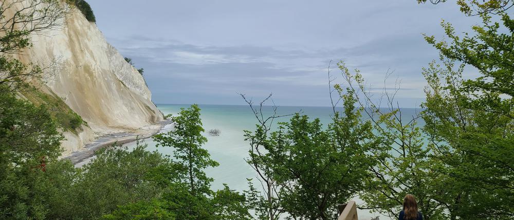 Der Kreidefelsen Møns Klint an der Südküste Dänemarks. 