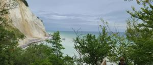 Der Kreidefelsen Møns Klint an der Südküste Dänemarks. 