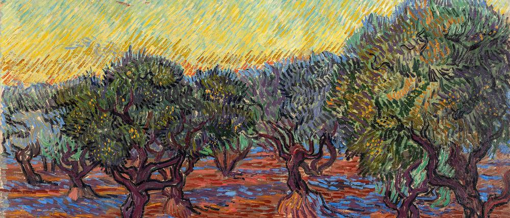 Mehrfach malte Vincent van Gogh „Ansichten eines Olivenhains“ in immer wieder anderen Stimmungen. Diese Version stammt aus dem Jahr 1889.