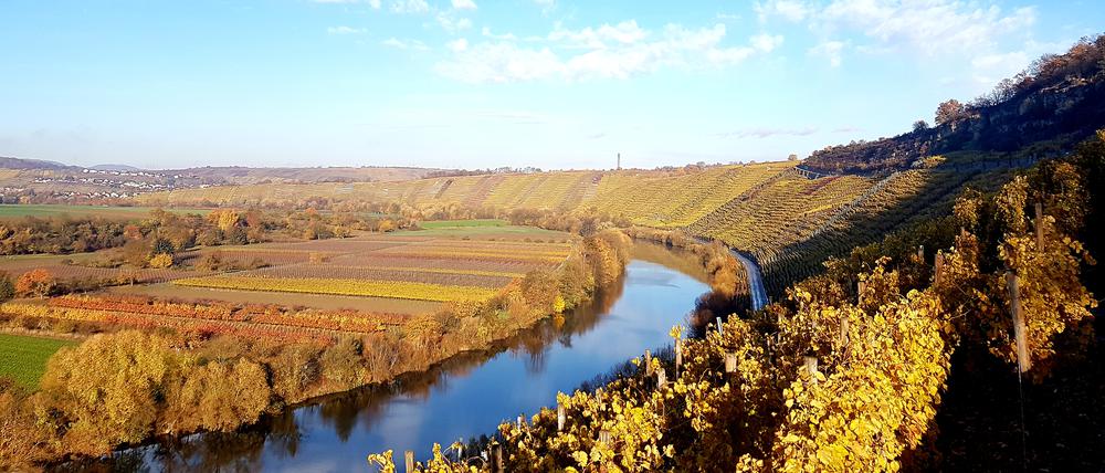 Herbstfoto Neckarschleife Heilbronn.
