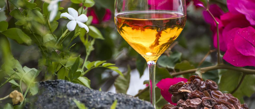 Weinbau auf Pantelleria. Promofoto