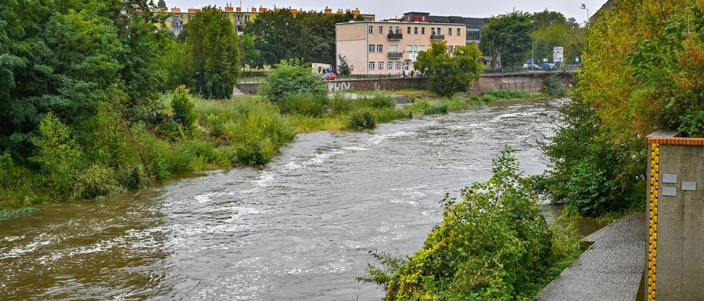 Auch in Brandenburg droht in den kommenden Tagen Hochwasser - der Wasserstand der Neiße in Guben ist bereits gestiegen. (Foto aktuell)