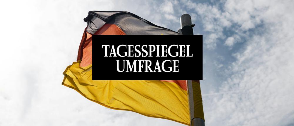 Tagesspiegel Umfrage