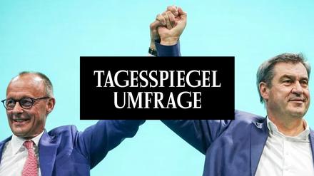 Tagesspiegel Umfrage