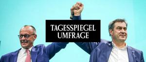 Tagesspiegel Umfrage
