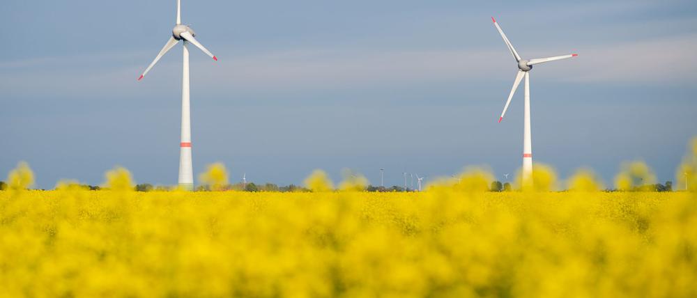 Die Netzagentur verzeichnet derzeit einen Boom bei der Genehmigung neuer Windenergieanlagen an Land. (Symbolbild)