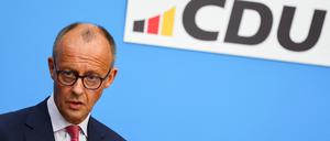 Unionschef Friedrich Merz.