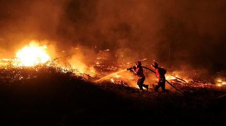 Die Feuerwehr im Kampf gegen einen Waldbrand in Canas de Senhorim. 
