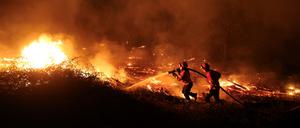 Die Feuerwehr im Kampf gegen einen Waldbrand in Canas de Senhorim. 