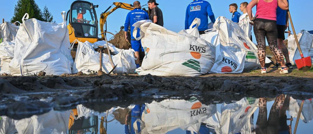 Einwohner von Lebus, einer Kleinstadt etwa zehn Kilometer nördlich von Frankfurt (Oder), befüllen Sandsäcke gegen das drohende Hochwasser vom deutsch-polnischen Grenzfluss Oder.