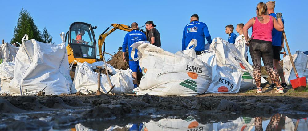 Einwohner von Lebus, einer Kleinstadt etwa zehn Kilometer nördlich von Frankfurt (Oder), befüllen Sandsäcke gegen das drohende Hochwasser vom deutsch-polnischen Grenzfluss Oder.