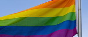 In Oranienburg soll es beim zweiten CSD bunt werden - aber auch eine rechte Gegendemonstration ist angemeldet. (Symbolbild)