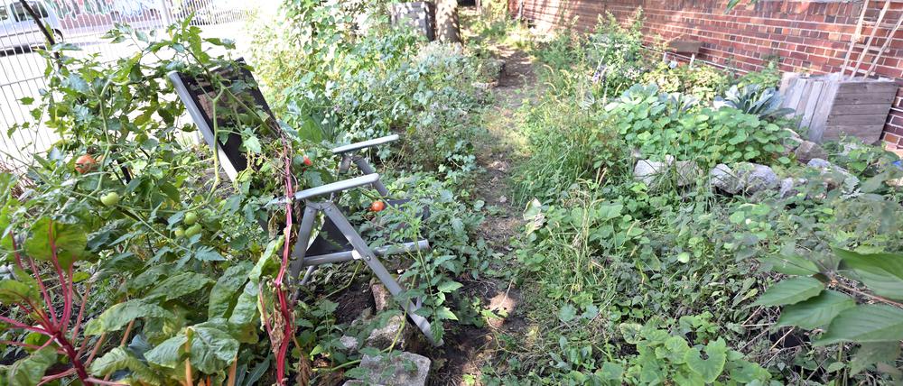 Der Freigarten im Potsdamer Freiland.