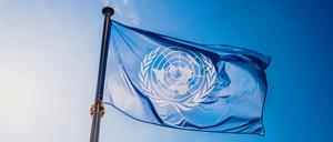 An diesem Sonntag und Montag beraten die Staats- und Regierungschefs in New York über eine Reform der Vereinten Nationen.
