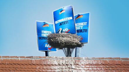 Vom Sehnsuchtsort zum AFD-Nest