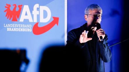 AfD-Fraktionschef Christoph Berndt