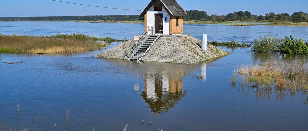 Rund um das Pegelhäuschen auf einem Sockel am Oderufer in Ratzdorf (Oder-Spree-Kreis) ist schon der hohe Wasserstand zu sehen.