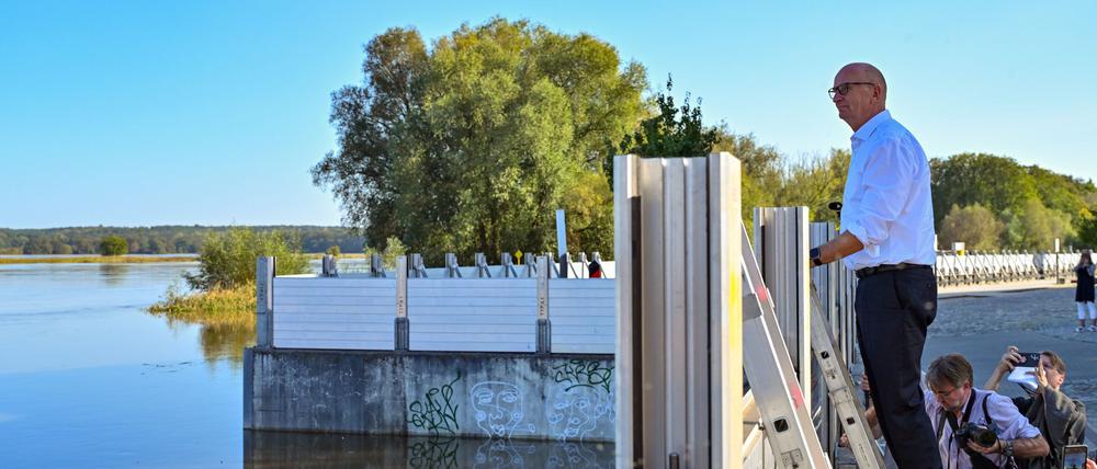 Wie hoch steht das Wasser schon? Brandenburgs Regierungschef Woidke steigt auf eine Leiter, um über eine Spundwand an der Uferpromenade in Frankfurt (Oder) zu schauen.