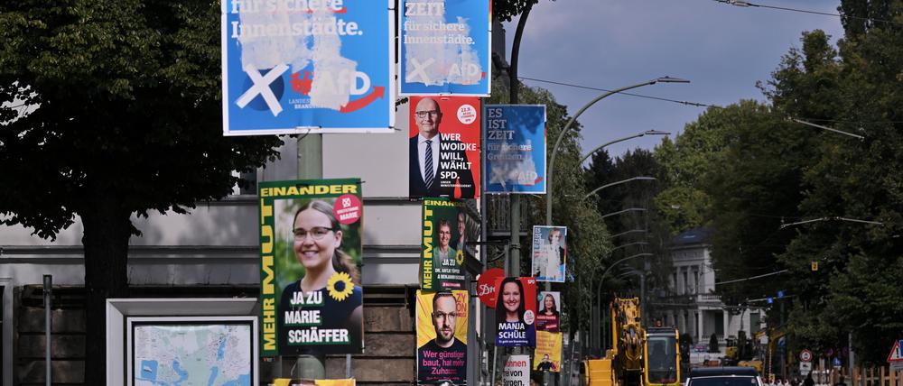 Potsdam, 26.08.2024, Lokales, Wahlplakate, Wahlplakat, zur Landtagswahl in Brandenburg 2024, Foto: Ottmar Winter PNN ACHTUNG: Foto ist ausschließlich für redaktionelle Berichterstattung der PNN und des TGSP! Eine kommerzielle Nutzung, z.B. Werbung, ist ausgeschlossen. Die Weitergabe an nicht autorisierte Dritte, insbesondere eine weitergehende Vermarktung über Bilddatenbanken, ist unzulässig.