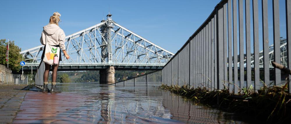 Die Elbe in Sachsen führt seit Wochenbeginn kein Hochwasser mehr. (Archivbild)