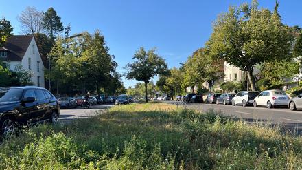 Die U3 wird bis Mexikoplatz verlängert – doch die Baugrube wird noch größer ausfallen. Denn neben der Argentinischen Allee wir auch die Lindenthaler Allee fast bis zur Potsdamer Chaussee “unterkellert”. Der U-Bahn-Tunnel wird in einer offenen Bauweise errichtet; bis 2030 wird der Straßenzug Baustelle sein.
