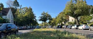 Die U3 wird bis Mexikoplatz verlängert – doch die Baugrube wird noch größer ausfallen. Denn neben der Argentinischen Allee wir auch die Lindenthaler Allee fast bis zur Potsdamer Chaussee “unterkellert”. Der U-Bahn-Tunnel wird in einer offenen Bauweise errichtet; bis 2030 wird der Straßenzug Baustelle sein.