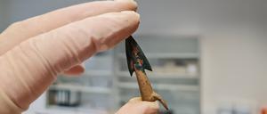 Solche Pfeilspitzen mit Widerhaken kommen vereinzelt im Tollensetal vor und haben ihr Verbreitungsgebiet im südöstlichen Mitteleuropa.
