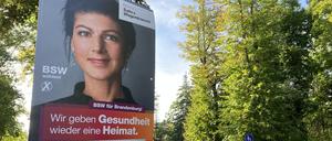  BSW-Plakat in Lychen. 