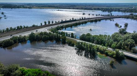 Die Elbe bei Wittenberg ist weit über ihre Ufer getreten und hat nun die Elbwiesen weiträumig überflutet (Drohnenfoto vom 20.9.2024).