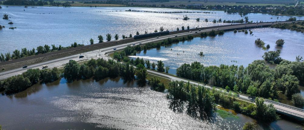 Die Elbe bei Wittenberg ist weit über ihre Ufer getreten und hat nun die Elbwiesen weiträumig überflutet (Drohnenfoto vom 20.9.2024).