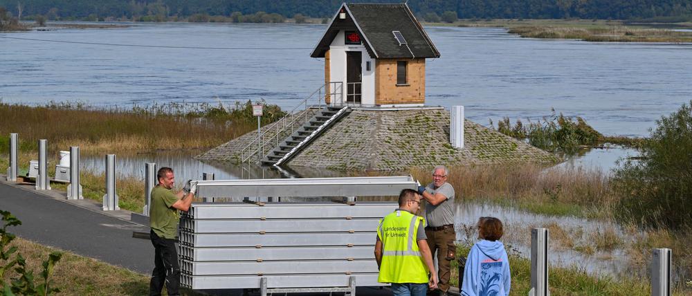 Eine Hochwasserschutzwand soll in Ratzdorf an der Oder die Wassermassen fernhalten.