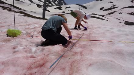 Forscher sammeln Proben bei Algenblüte nahe Vanoise in Frankreich. 
