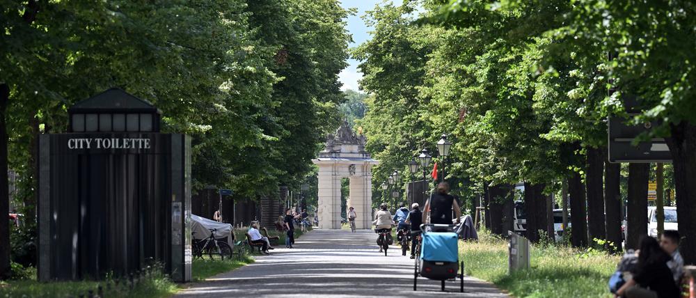 Der Mittelstreifen der Hegelallee (Symbolbild).