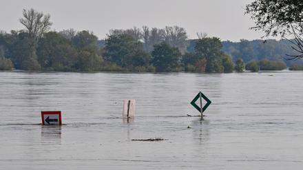 Die Oder bei Ratzdorf (Oder-Spree) „verschluckt“  inzwischen Schilder im Fluss. Der Pegelstand steigt auch noch weiter.