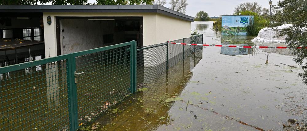 In Eisenhüttenstadt gilt die höchste Hochwasser-Alarmstufe.