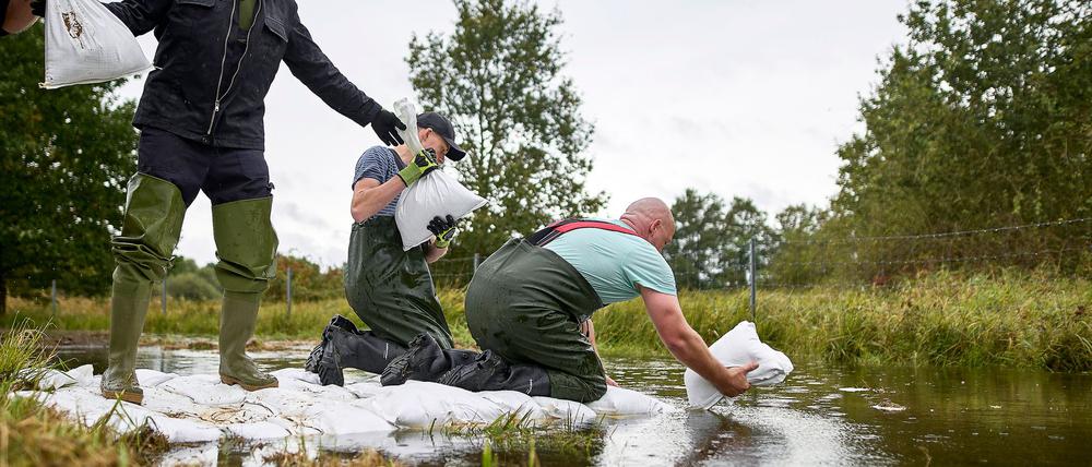Durch einen Schutzdeich in Eisenhüttenstadt sickert Wasser. Einsatzkräfte rücken mit Sandsäcken an.