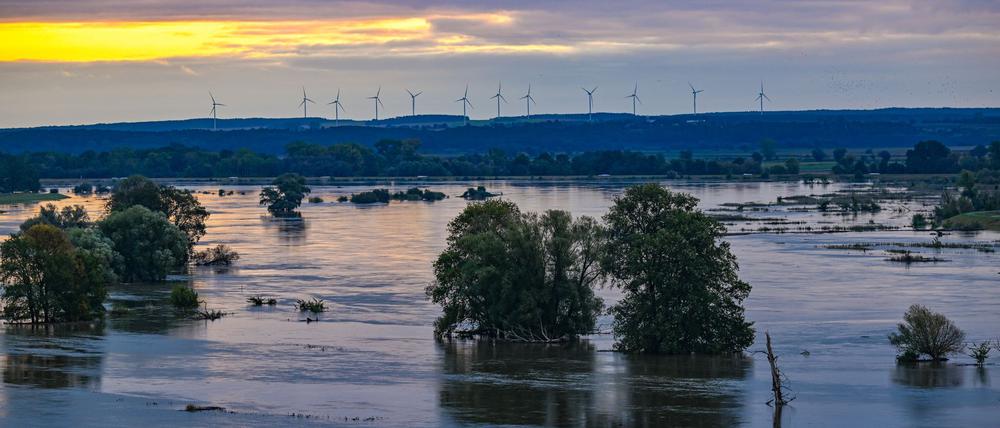 Das Oder-Hochwasser setzt große Teile der Landschaft unter Wasser wie hier im Landkreis Märkidch-Oderland nahe dem Ort Lebus.
