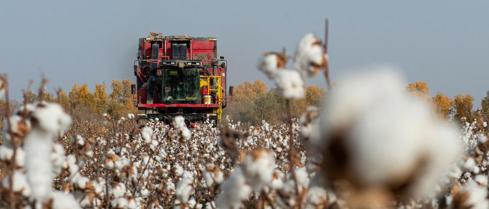 China wirft PVH vor, Baumwolle und andere Produkte aus Xinjiang gemieden zu haben. (Symbolbild)
