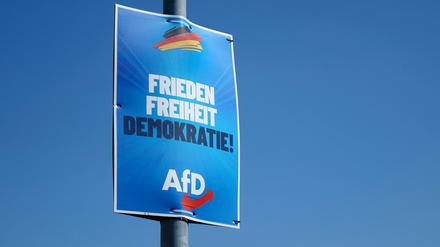 Wahlplakat der AfD.