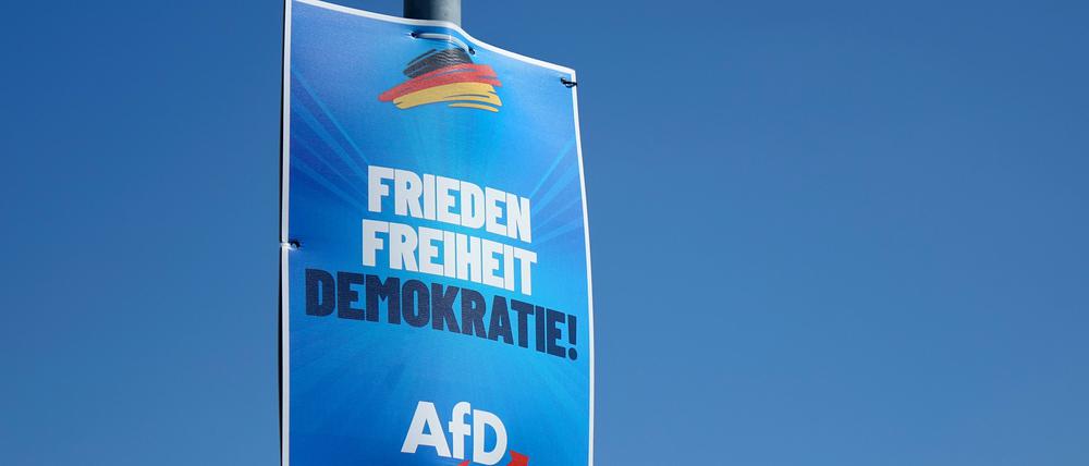 Wahlplakat der AfD.