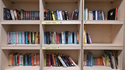 Viele Neuköllner Schulen haben bislang keine eigene Bibliothek (Symbolbild). 