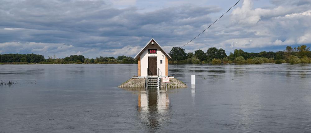Das Pegelhäuschen bei Ratzdorf an der Oder ist von Wassermassen umgeben.