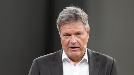 Wirtschaftsminister Robert Habeck mit geballter Faust bei einer Rede (Archivbild).