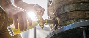 Das Potsdamer Oktoberfest zieht in diesem Jahr vom Lustgarten in die Metropolishalle.