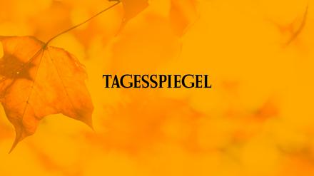 Tagesspiegel Herbst Sale